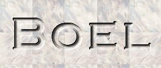 Boel