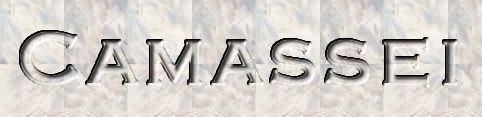 Camassei