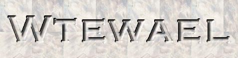 Wtewael