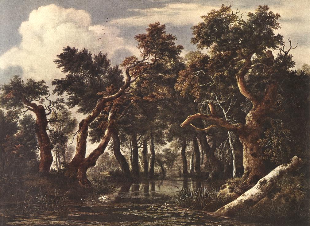 The Marsh